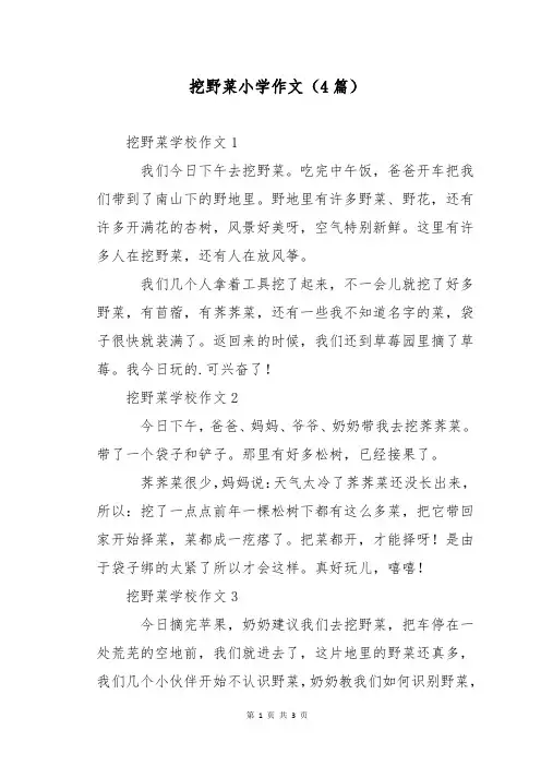挖野菜小学作文(4篇)