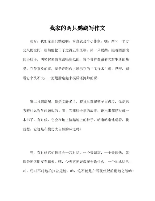 我家的两只鹦鹉写作文