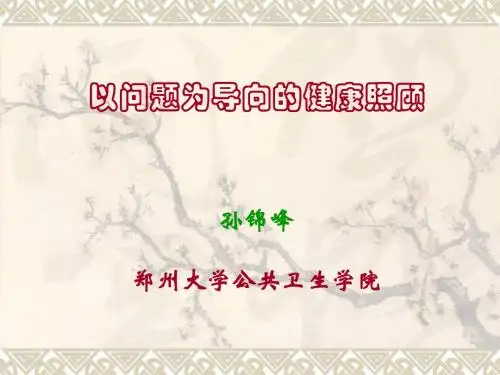 以问题为目标的健康照顾ppt课件
