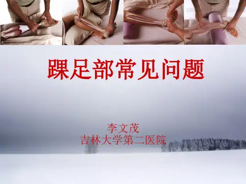 踝足部常见问题(下)