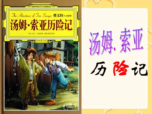 《汤姆索亚历险记》优秀课件