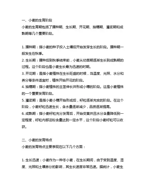 简述小麦生育阶段和发育特点。