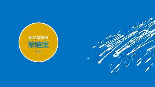 2019年智能手机 新品牌营销策略案 共48页