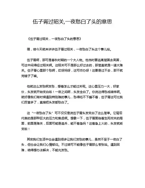 伍子胥过昭关,一夜愁白了头的意思