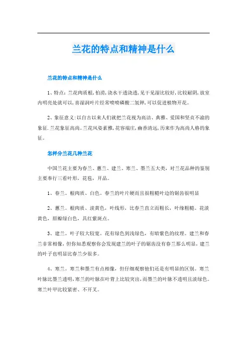 兰花的特点和精神是什么