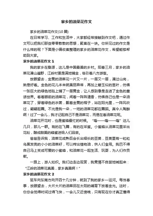 家乡的油菜花作文（10篇）