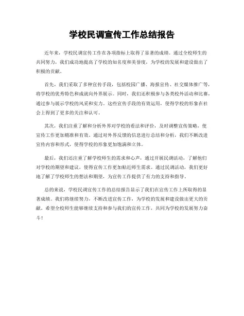 学校民调宣传工作总结报告