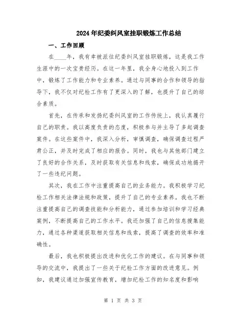 2024年纪委纠风室挂职锻炼工作总结