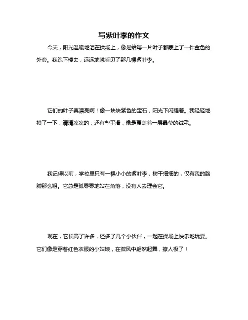 写紫叶李的作文