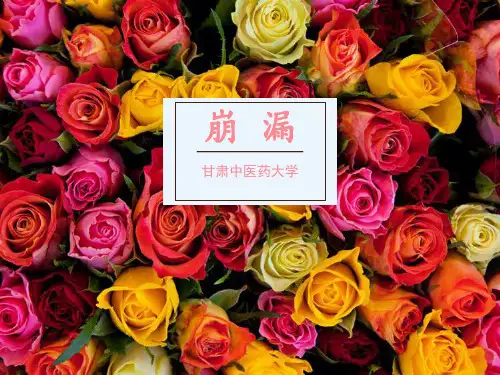 崩漏