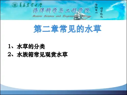 2第二章 常见的水草