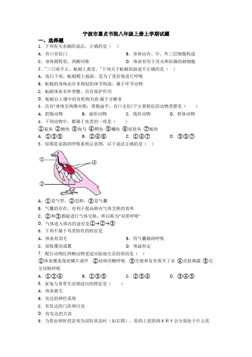 宁波市惠贞书院八年级上册上学期试题