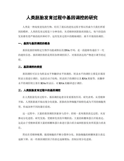 人类胚胎发育过程中基因调控的研究