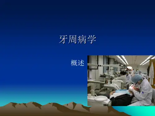 牙周组织应用解剖