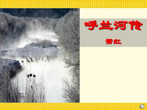 《呼兰河传》PPT课件