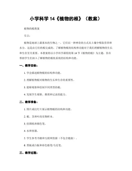 小学科学14《植物的根》(教案)