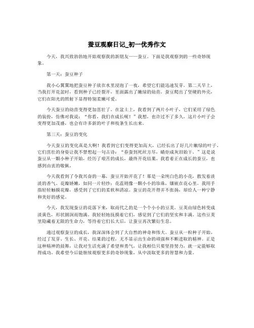 蚕豆观察日记_初一优秀作文