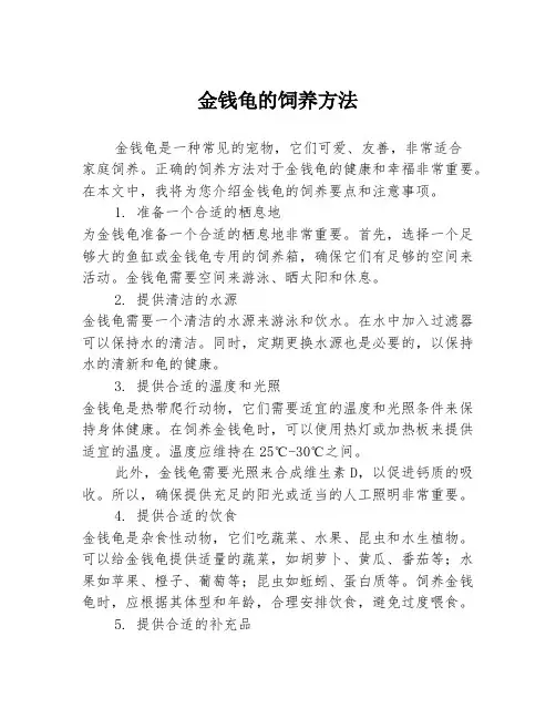 金钱龟的饲养方法