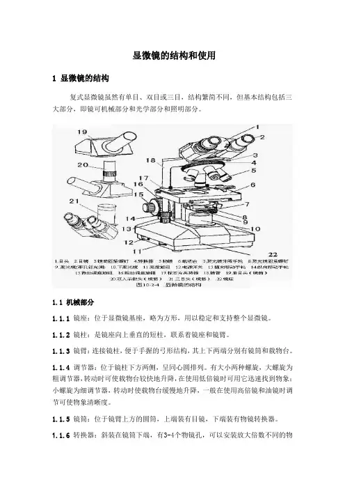 显微镜的结构和使用