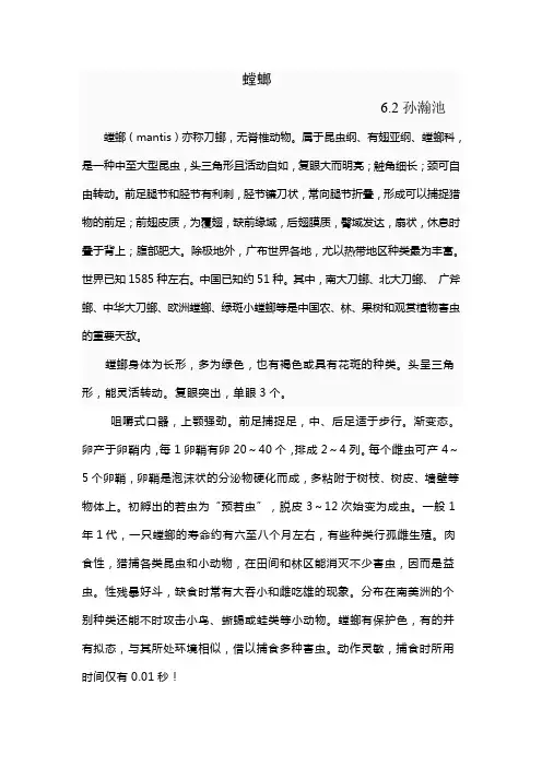 螳螂