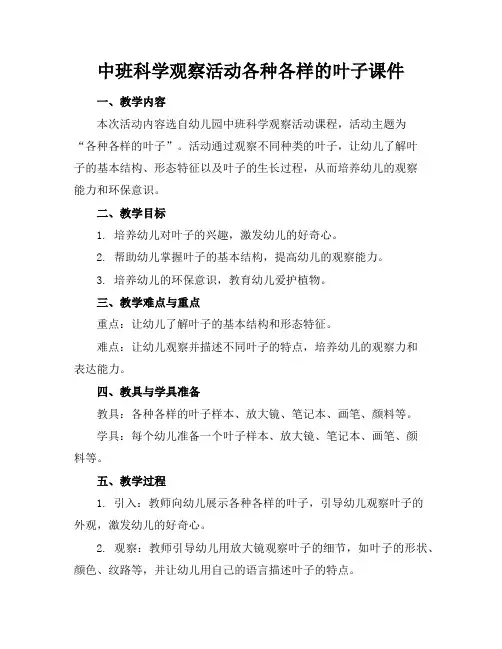 中班科学观察活动各种各样的叶子课件