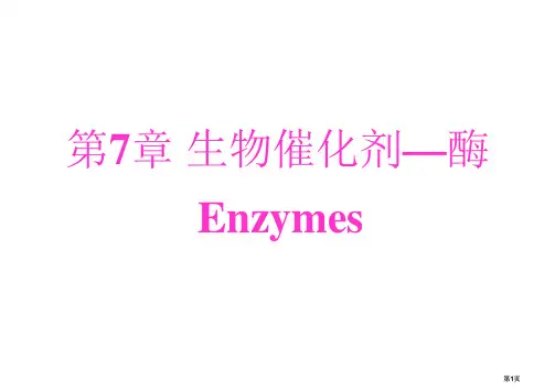 动物生物化学生物催化剂酶公开课一等奖优质课大赛微课获奖课件