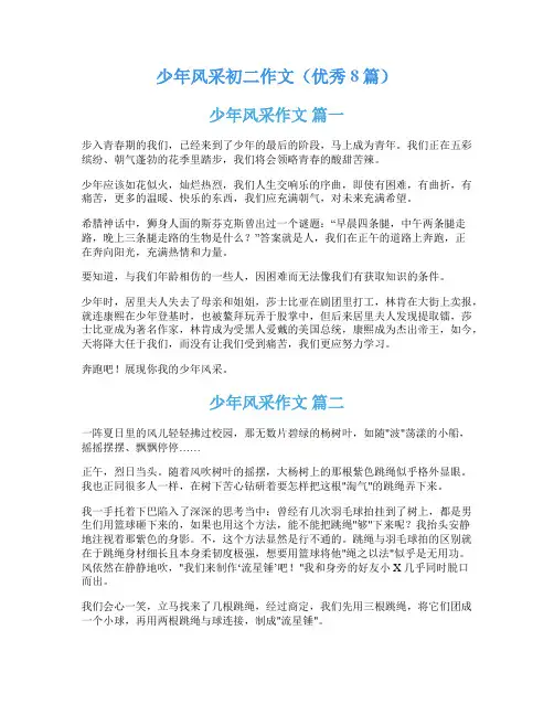 少年风采初二作文(优秀8篇)