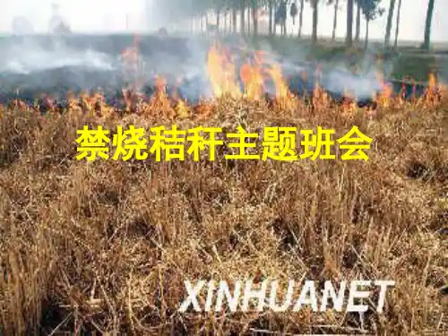 禁烧秸秆主题班会PPT课件