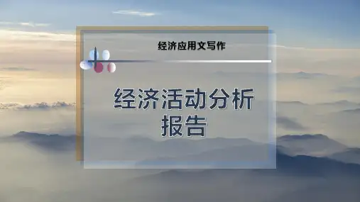 经济活动分析报告
