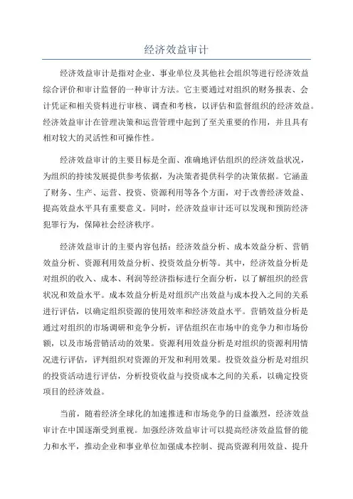 经济效益审计