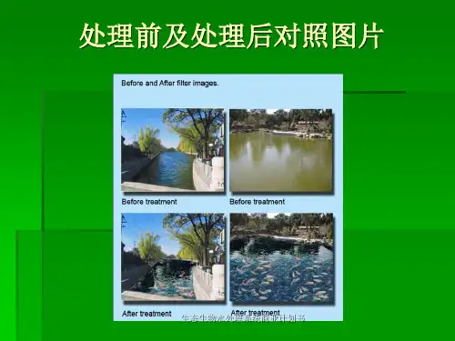 生态生物水处理系统商业计划书