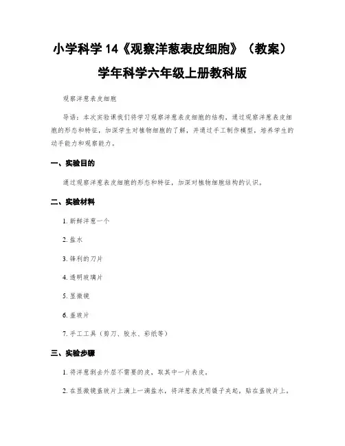 小学科学14《观察洋葱表皮细胞》(教案)学年科学六年级上册教科版
