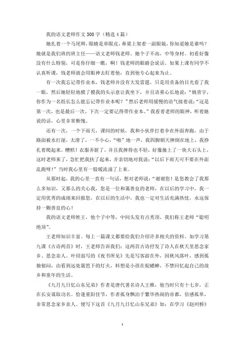 我的语文老师优秀作文300字