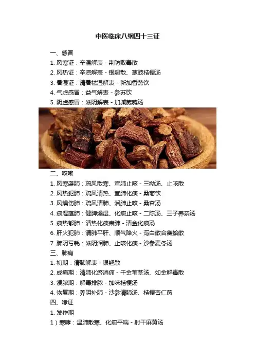 中医临床八纲四十三证