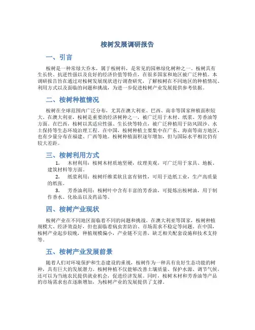 桉树发展调研报告