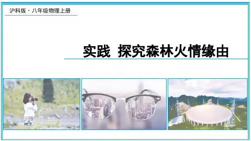 实践 探究森林火情缘由 课件 沪科版(2024)物理八年级上册