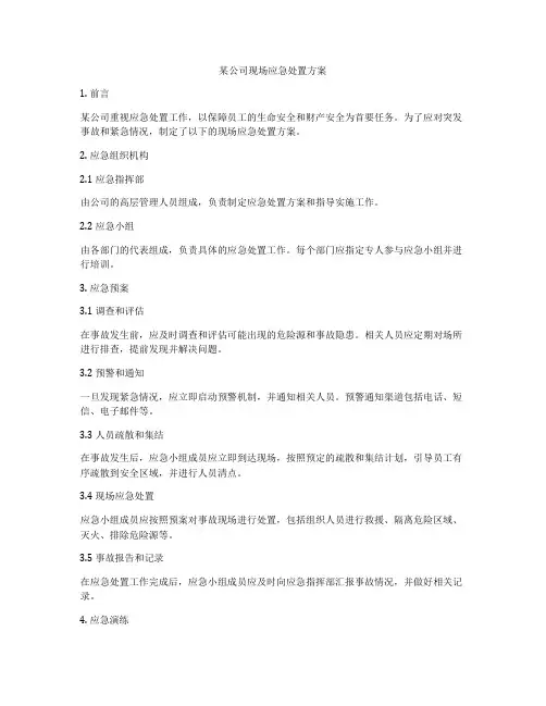 某公司现场应急处置方案