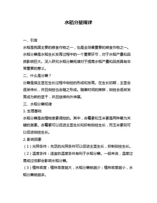 水稻分蘖规律