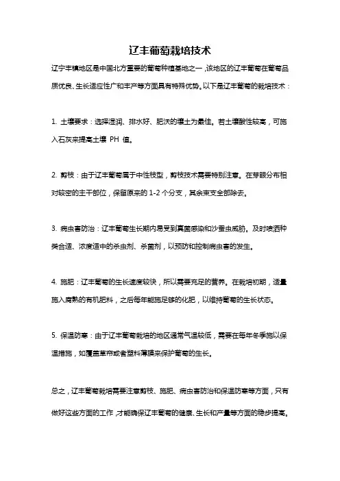 辽丰葡萄栽培技术