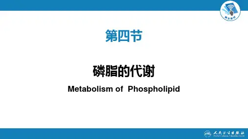 生物化学及分子生物学(人卫第九版)-07-04节脂质代谢