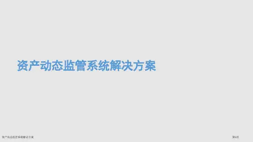 资产动态监管系统解决方案