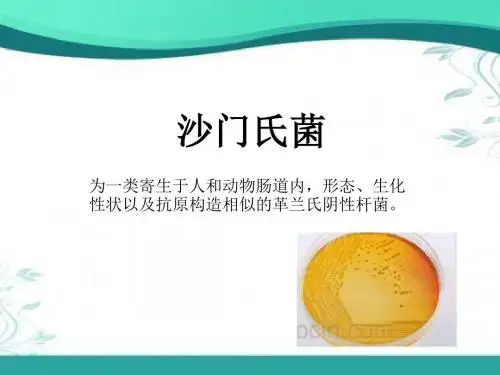 沙门氏菌