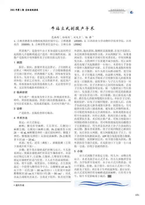 牛站立式剖腹产手术