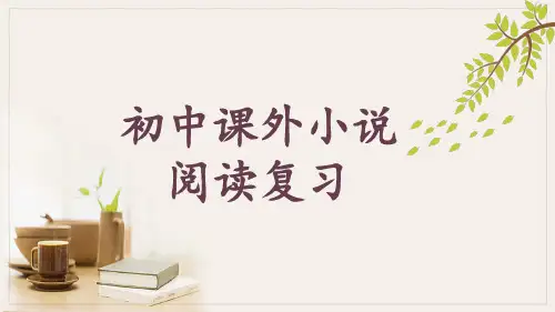 2024年中考语文课外小说阅读专题课件(共27张批评他)