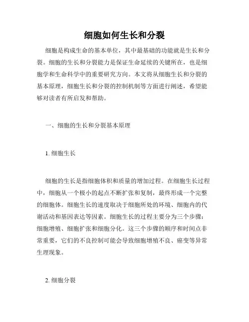 细胞如何生长和分裂