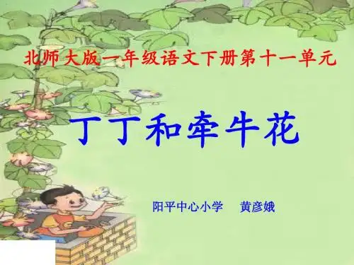 丁丁和牵牛花PPT