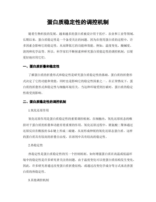 蛋白质稳定性的调控机制