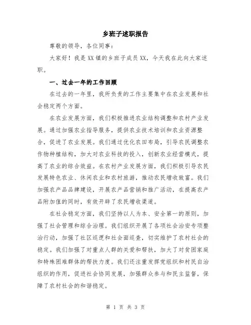 乡班子述职报告