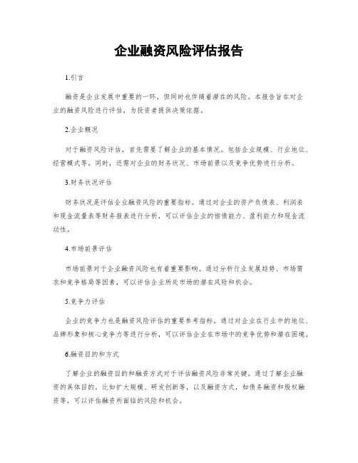 企业融资风险评估报告