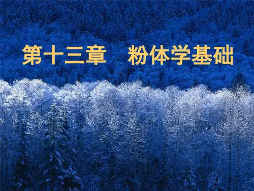 粉体学基础教案资料